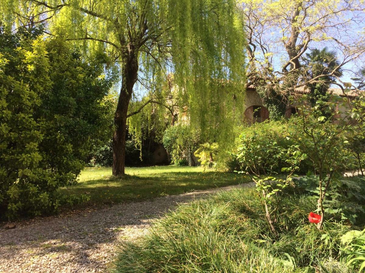 Villa Adelaide Gonàrs Extérieur photo